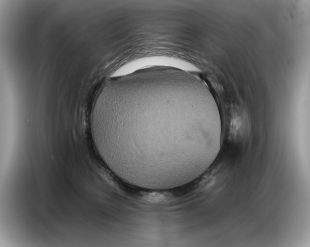 X0000086740566200704271653