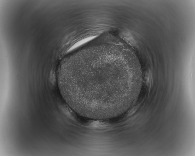 X0000086740568200704271653