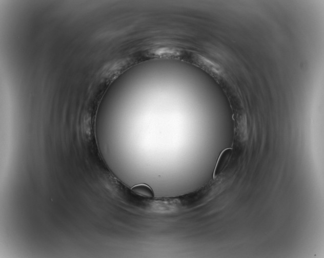 X0000086740571200704271653