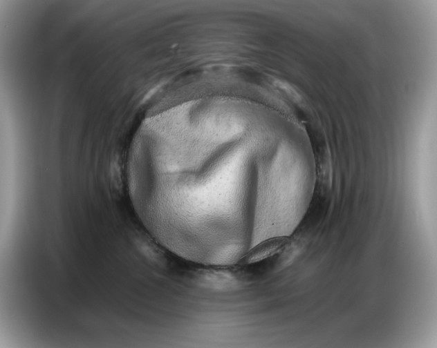 X0000086740572200704271653