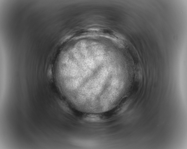 X0000086740573200704271653