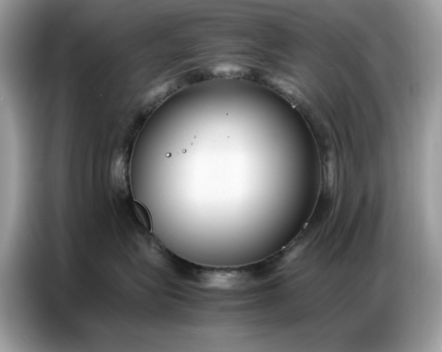 X0000086740575200704271653