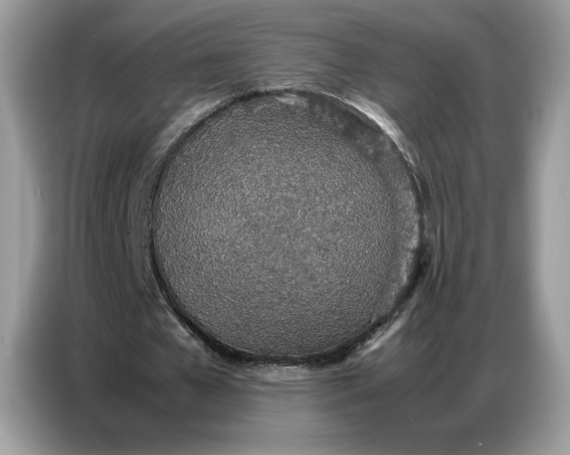 X0000086740577200704271652