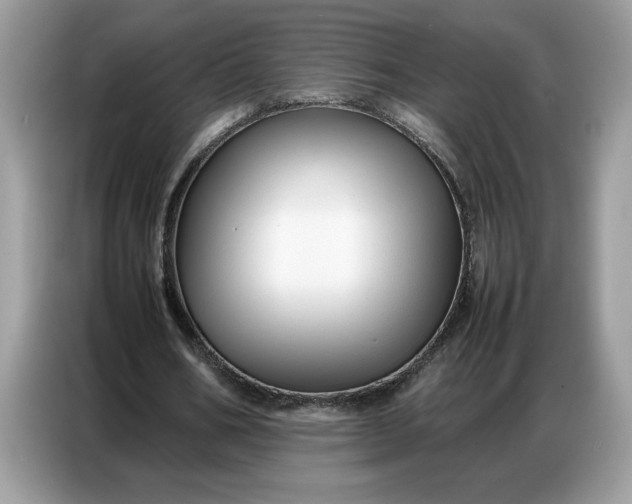 X0000086740578200704271652