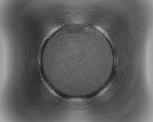 X0000086740581200704271652