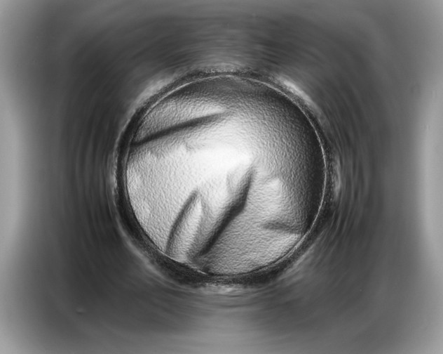 X0000086740582200704271652