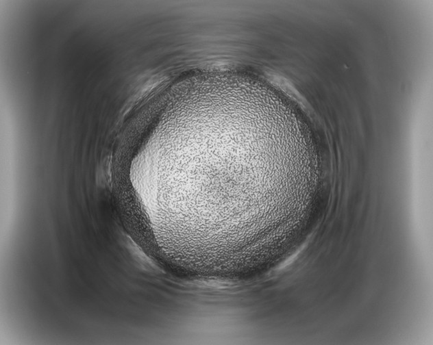 X0000086740585200704271652