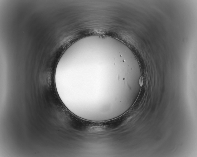 X0000086740595200704271652