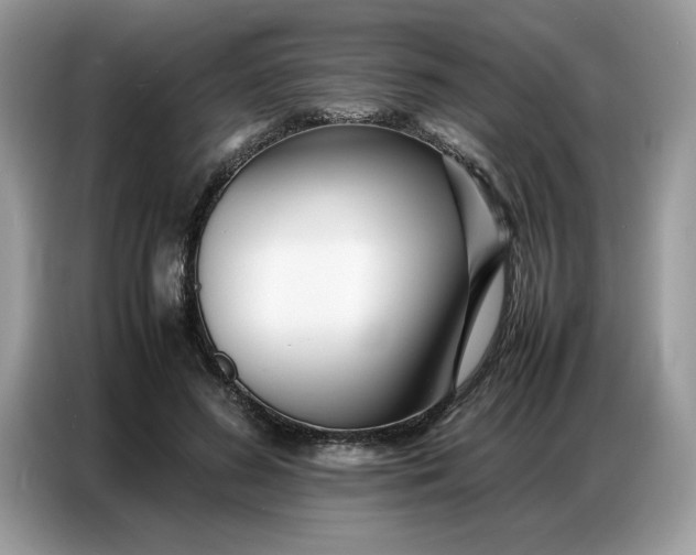 X0000086740596200704271652