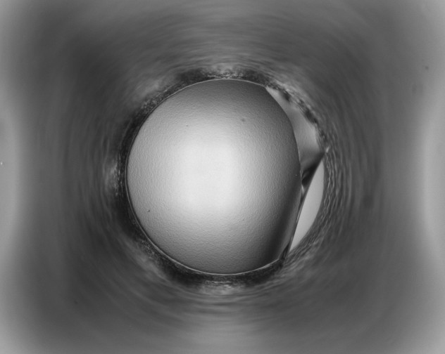 X0000086740597200704271652