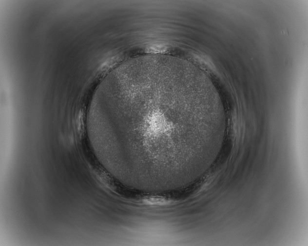 X0000086740598200704271652