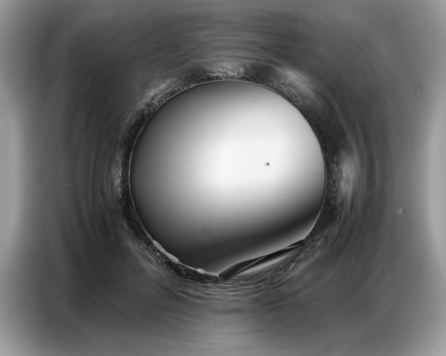 X0000086740600200704271652