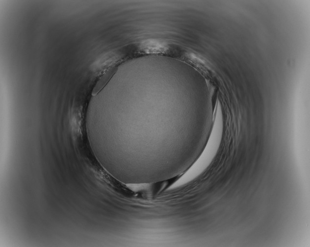 X0000086740604200704271652