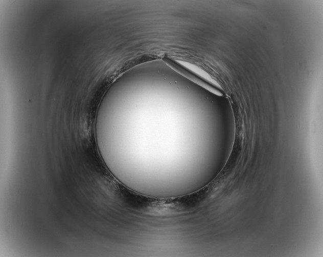 X0000086740607200704271652