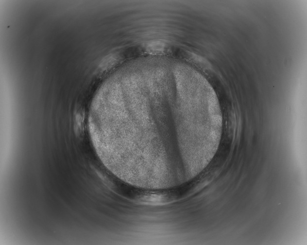 X0000086740610200704271652