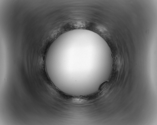 X0000086740614200704271652