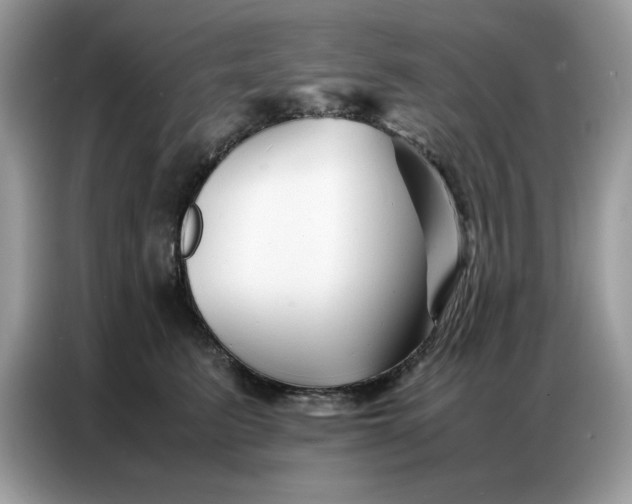 X0000086740615200704271652