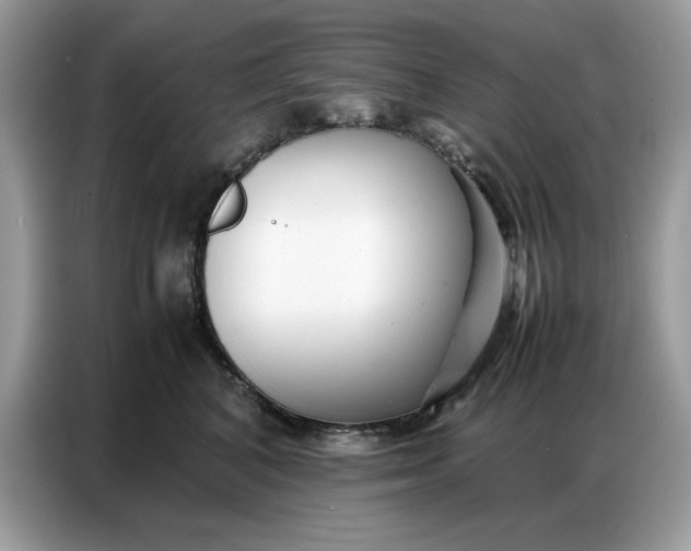 X0000086740616200704271652