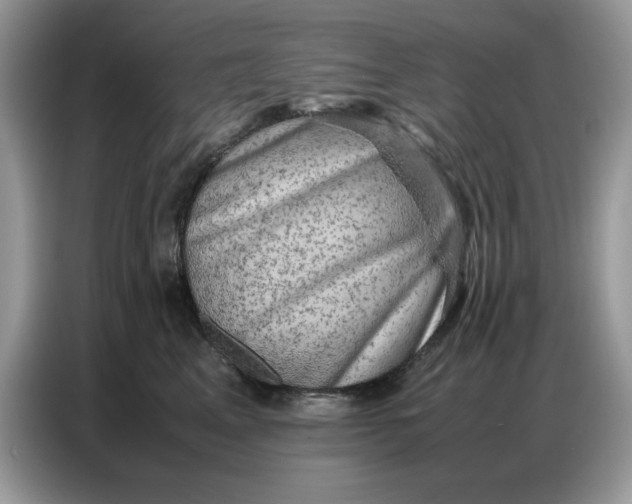 X0000086740617200704271652