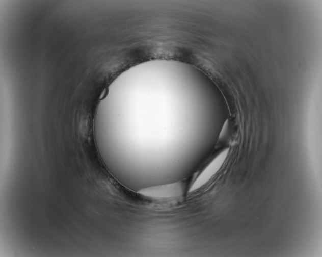 X0000086740619200704271652