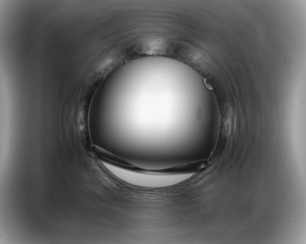 X0000086740620200704271651