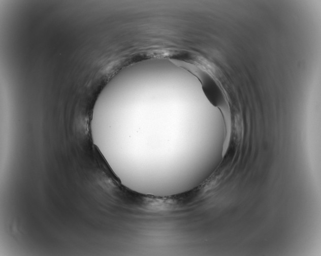 X0000086740621200704271651