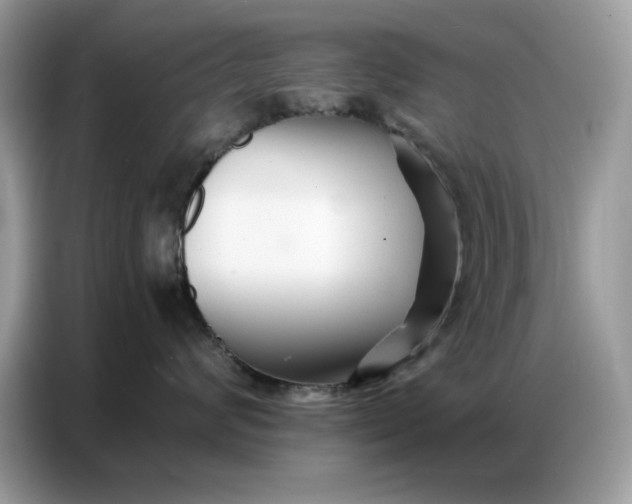 X0000086740624200704271651