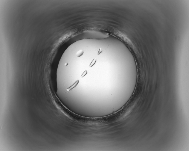 X0000086740625200704271651