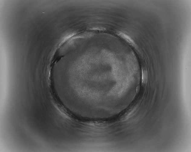 X0000086740627200704271651