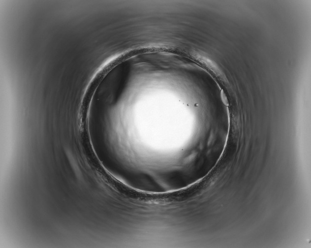 X0000086740628200704271651