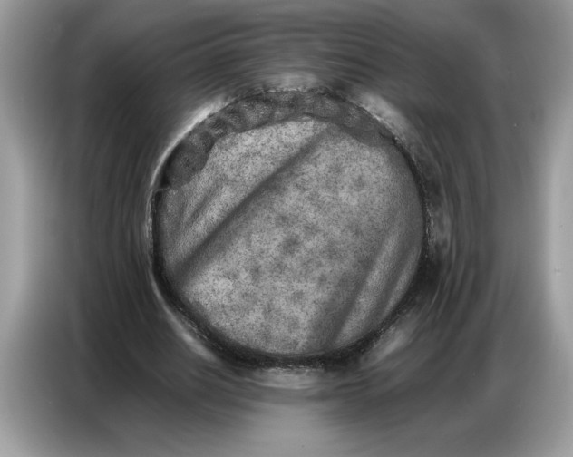 X0000086740630200704271651