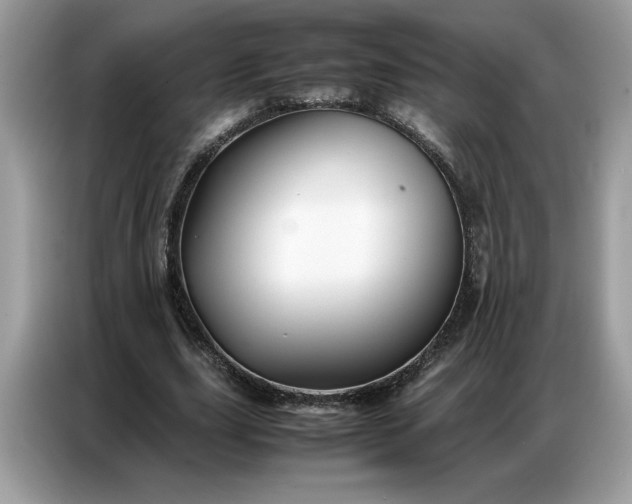 X0000086740631200704271651