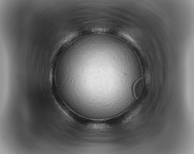 X0000086740637200704271651