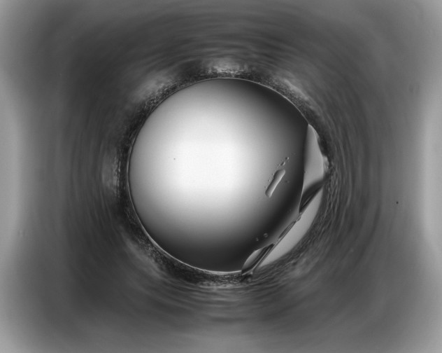 X0000086740639200704271651