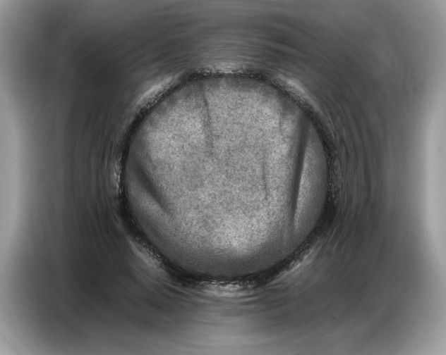 X0000086740640200704271651