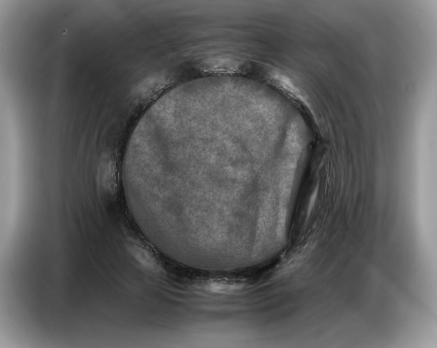 X0000086740641200704271651