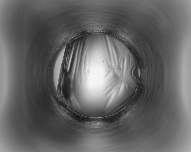 X0000086740642200704271651