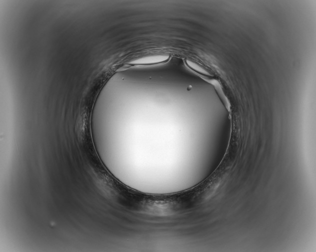 X0000086740645200704271651