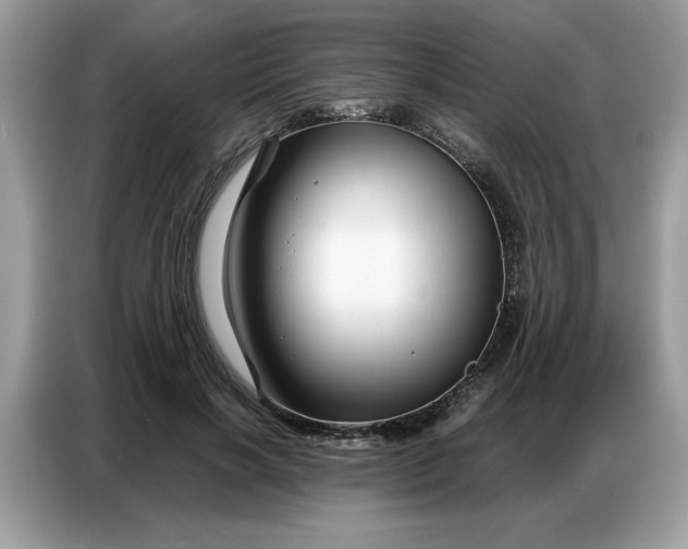 X0000086740646200704271651