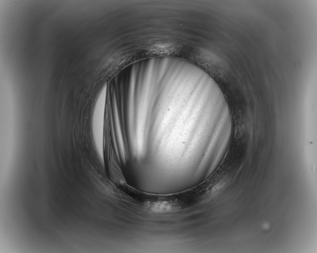 X0000086740647200704271651