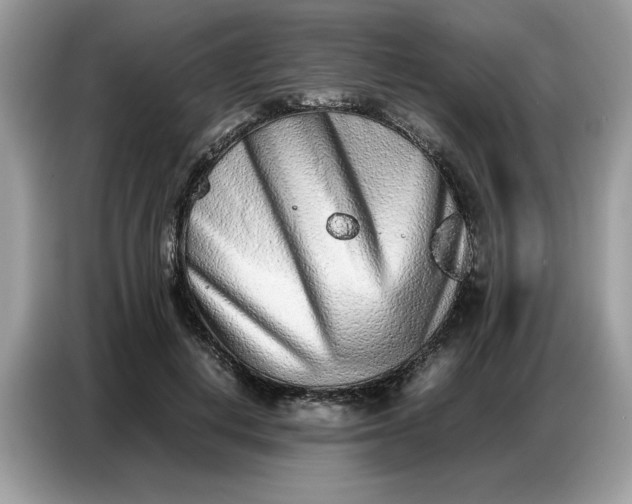 X0000086740648200704271651