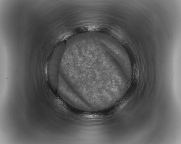 X0000086740650200704271651