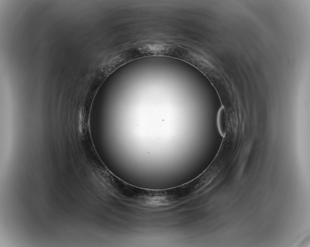 X0000086740651200704271651