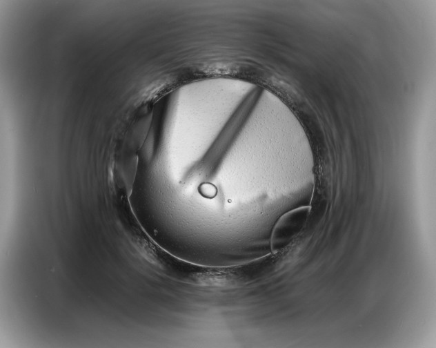 X0000086740652200704271651