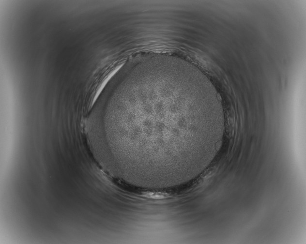 X0000086740654200704271651