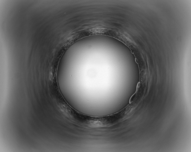 X0000086740655200704271651