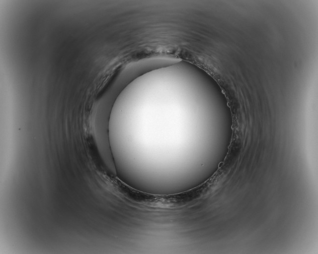 X0000086740656200704271651