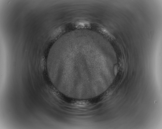 X0000086740659200704271651