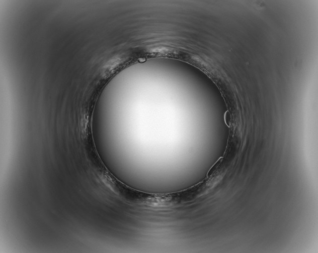 X0000086740660200704271651