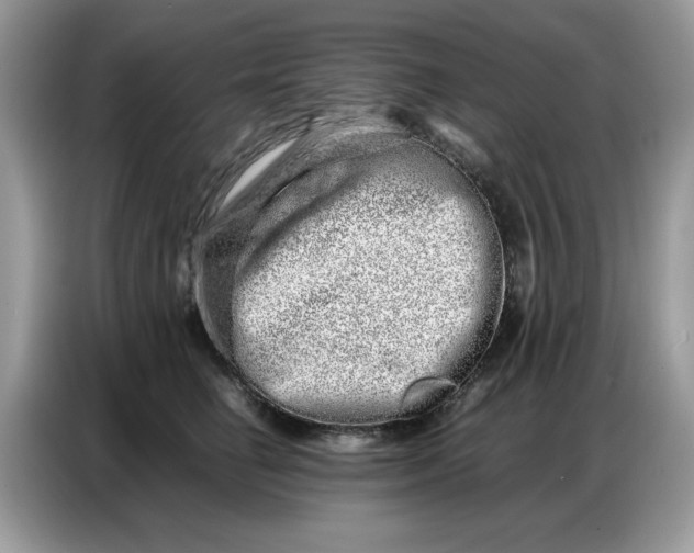 X0000086740662200704271651